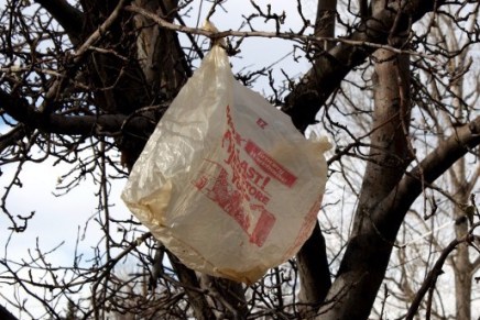 Harryette Mullen’s Urban Tumbleweed: Notes from a Tanka&nbsp;Diary