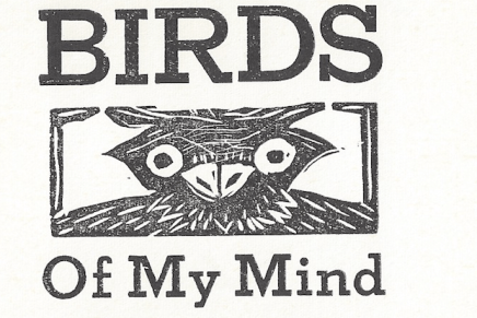 Poems for Just a Few&nbsp;Children