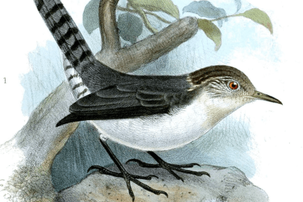 Technology, Time and&nbsp;Sabbath