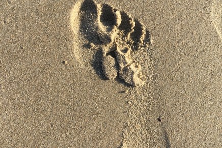 What Matters at Point&nbsp;Reyes