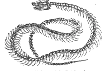 When the Garden&nbsp;Burns