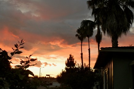 Los Angeles Made Wild: Eloise Klein Healy, Artemis in Echo&nbsp;Park